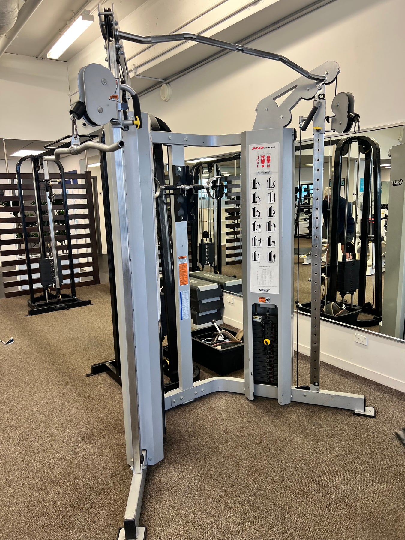 Hoist HD1900 Dual Adjustable Pulley System Blue Fitness Ltd